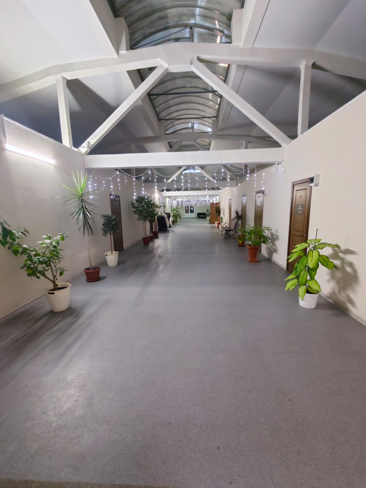 Кабинет №203