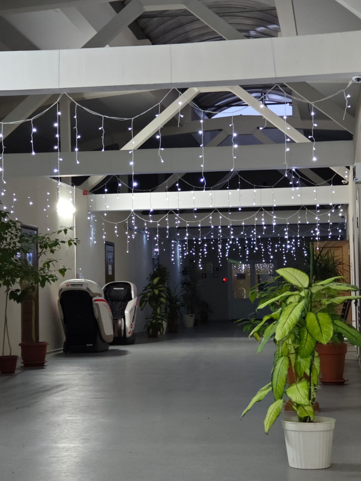 Кабинет №203+216+223